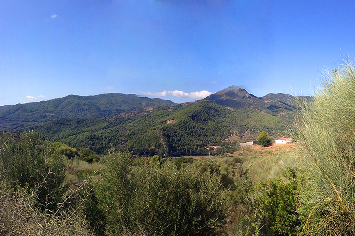 Gaucin wooded hills in the distance